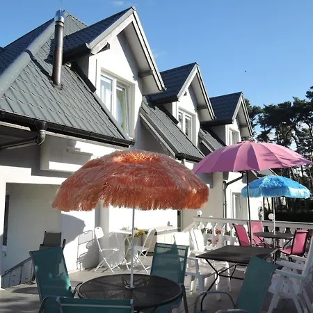 In Near Clean * Dziwnówek